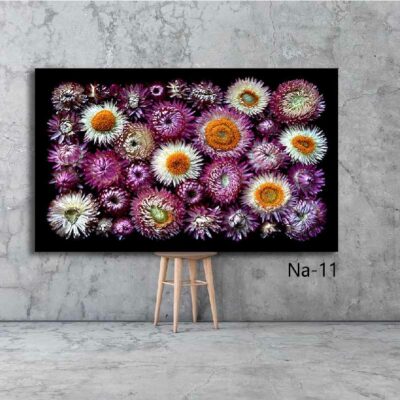 tableau fleur NA- 11