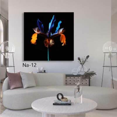 tableau fleur NA- 12