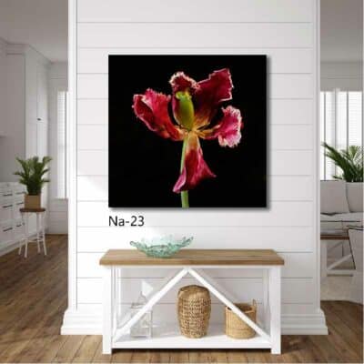 tableau fleur NA- 23