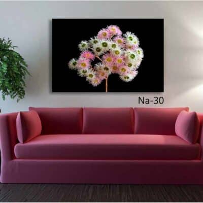 tableau fleur NA- 30