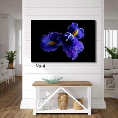 tableau fleur NA- 04