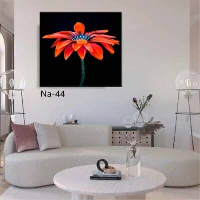 tableau fleur NA- 44