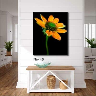tableau fleur NA- 46