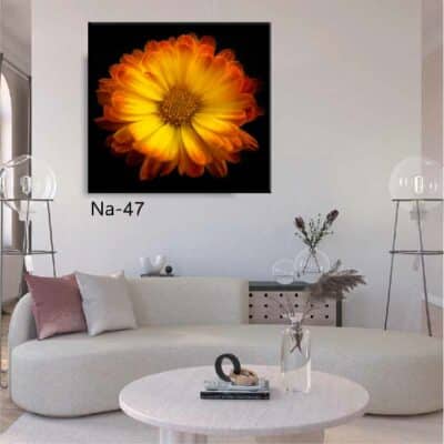 tableau fleur NA- 47