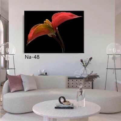 tableau fleur NA- 48