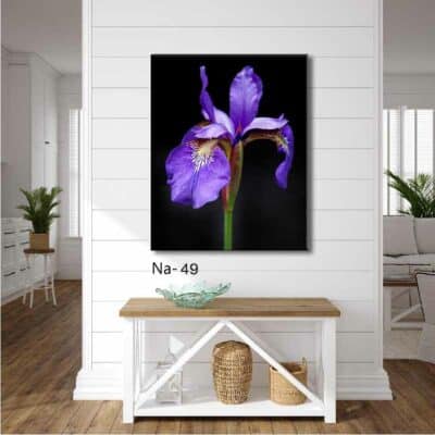 tableau fleur NA- 49