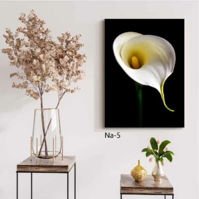 tableau fleur NA- 05