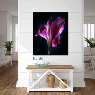 tableau fleur NA- 50