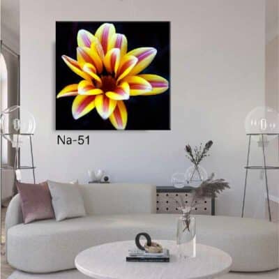 tableau fleur NA- 51