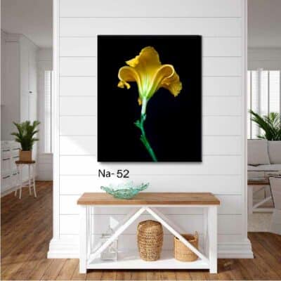 tableau fleur NA- 52