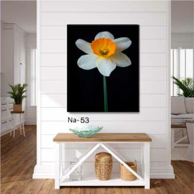 tableau fleur NA- 53