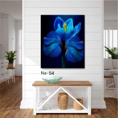 tableau fleur NA- 54