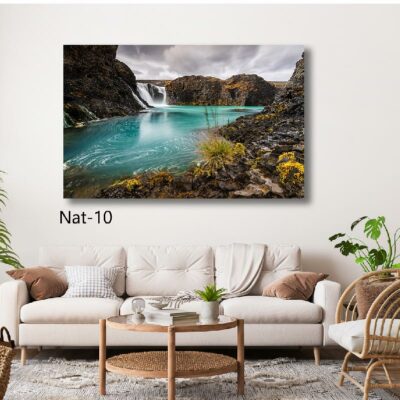 tableau nature NAT- 10