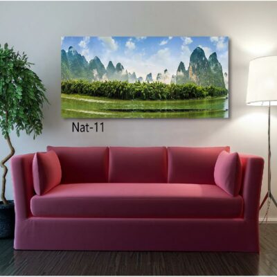 tableau nature NAT- 11