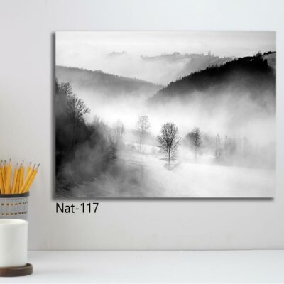 tableau nature NAT-117