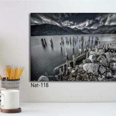 tableau nature NAT-118-1