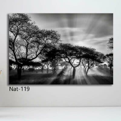 tableau nature NAT-119