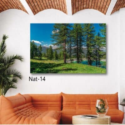tableau nature NAT- 14