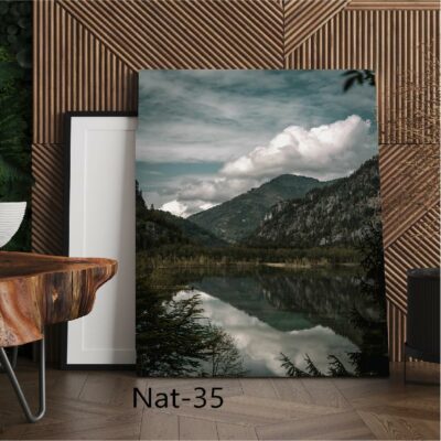 tableau nature NAT-35