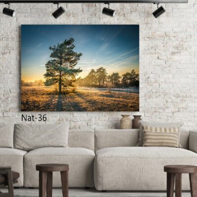 tableau nature NAT-36