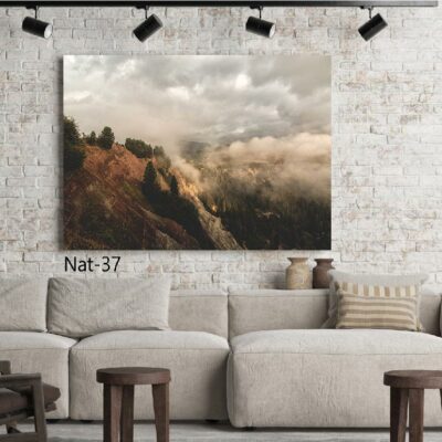 tableau nature NAT-37