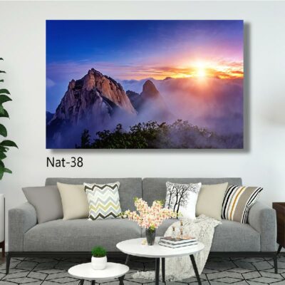 tableau nature NAT-38