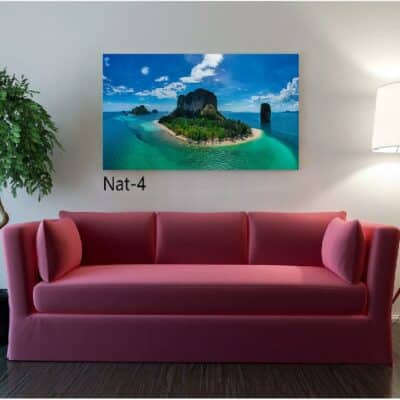 tableau nature NAT- 04