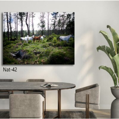 tableau nature NAT-42