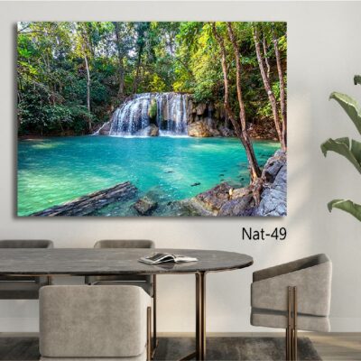 tableau nature NAT-49