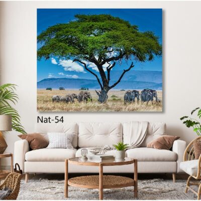 tableau nature NAT-54