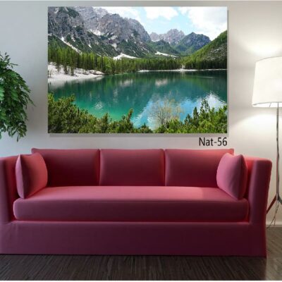 tableau nature NAT-56