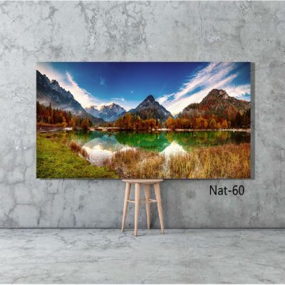 tableau nature NAT-60