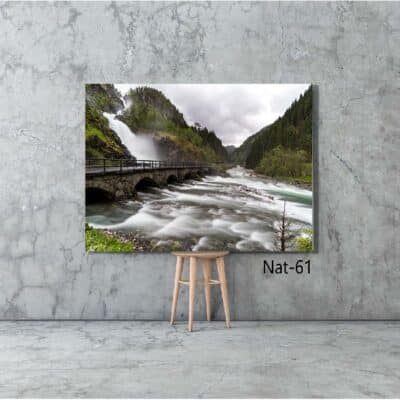 tableau nature NAT-61