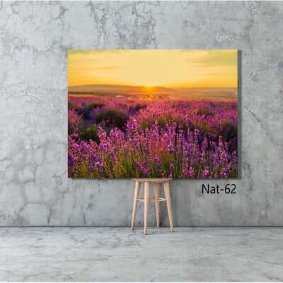 tableau nature NAT-62