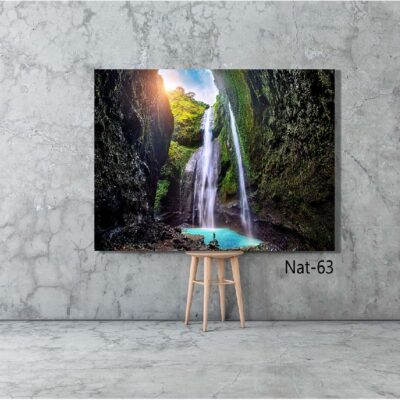 tableau nature NAT-63