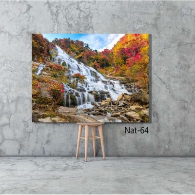 tableau nature NAT-64