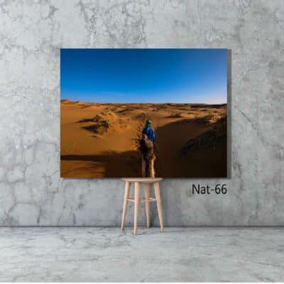 tableau nature NAT-66