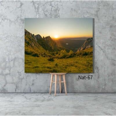 tableau nature NAT-67