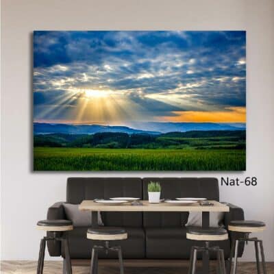 tableau nature NAT-68