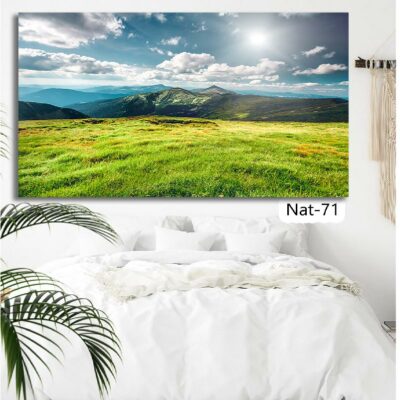 tableau nature NAT-71