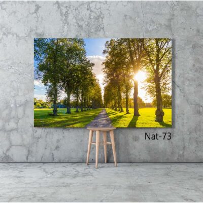 tableau nature NAT-73