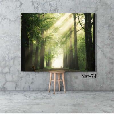 tableau nature NAT-74