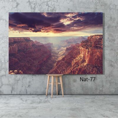 tableau nature NAT-77