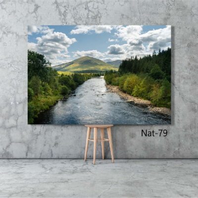 tableau nature NAT-79
