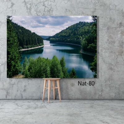 tableau nature NAT-80