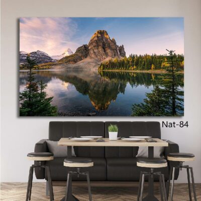 tableau nature NAT-84