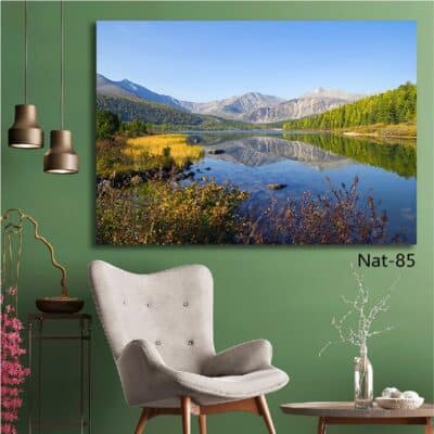 tableau nature NAT-85