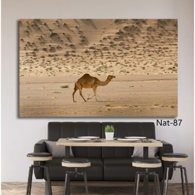 tableau nature NAT-87