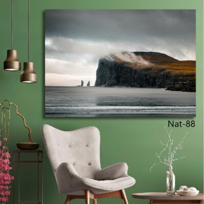 tableau nature NAT-88