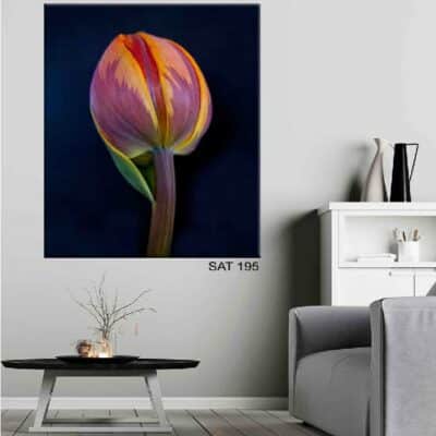 tableau fleur SAT-272